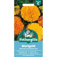 Marigold “African” Crackerjack Mixed Seeds